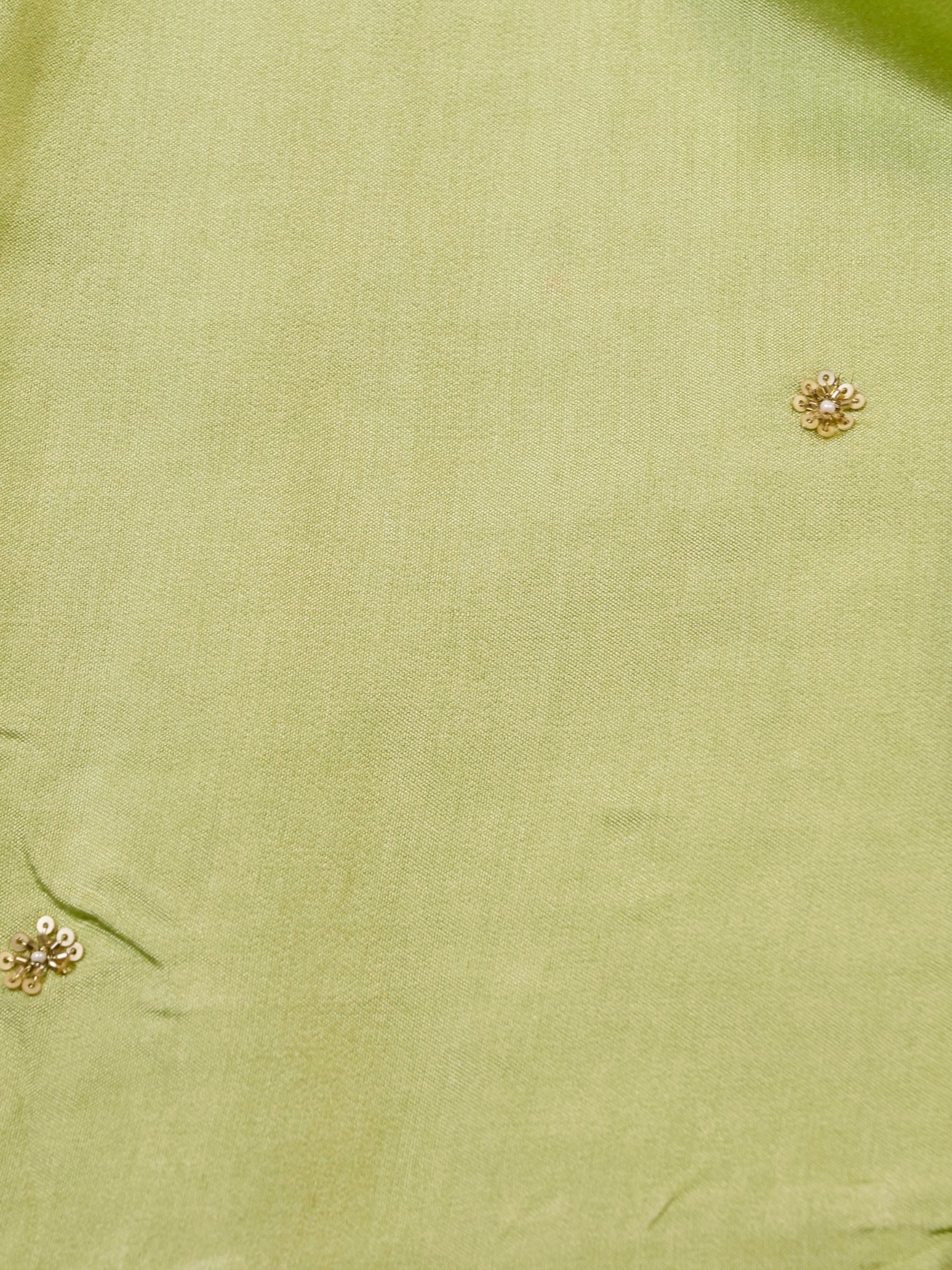 Handwoven Lime Green Banarasi Organza Silk Saree