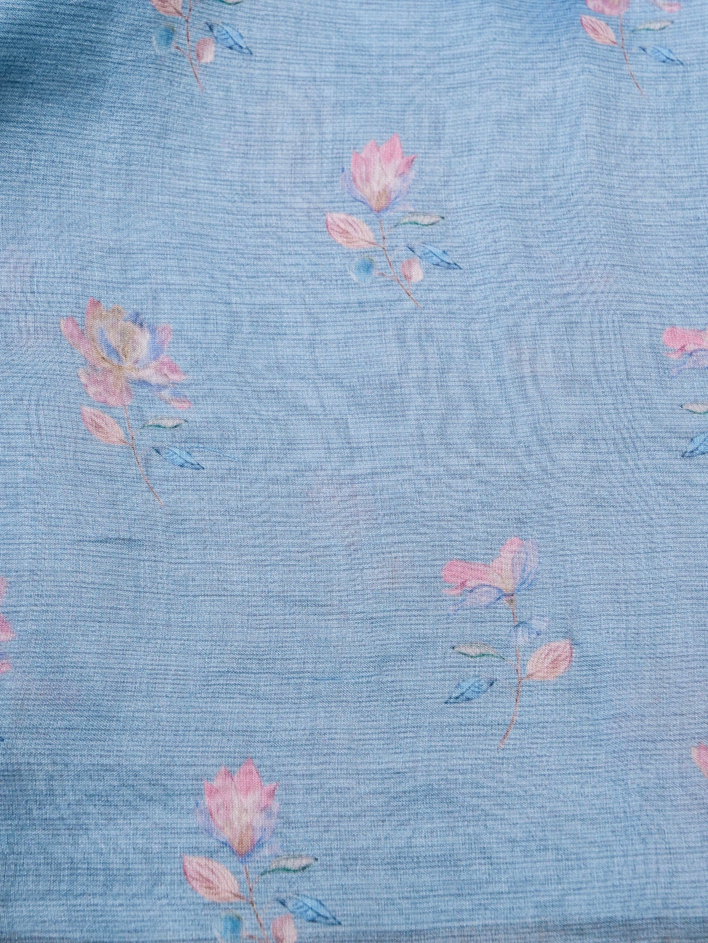 Handwoven Sky Blue Banarasi Organza Silk Saree