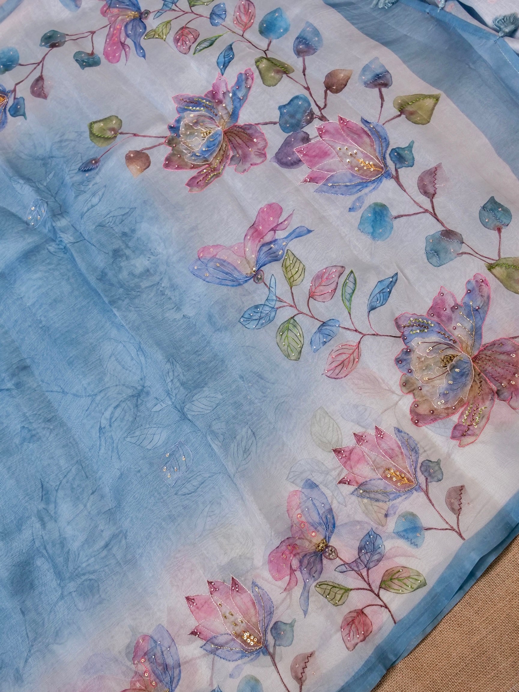 Handwoven Sky Blue Banarasi Organza Silk Saree