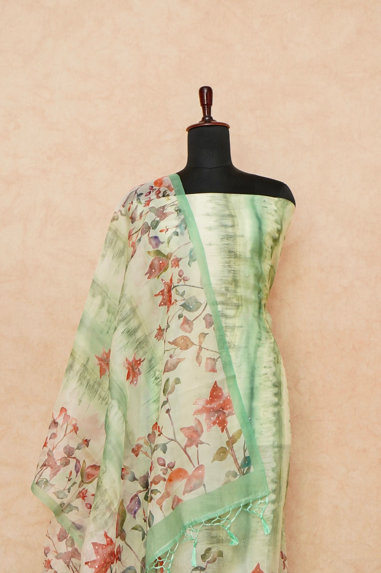 Handwoven Pastel Green Banarasi Organza Silk Suit